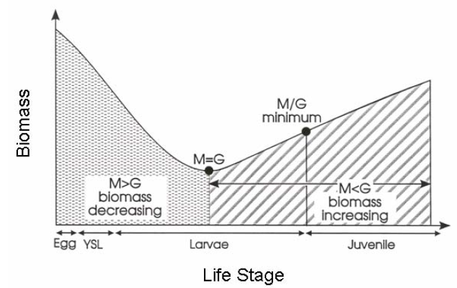 M/G Conceptual Diagram